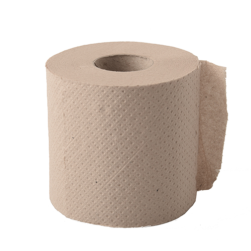 48 Rollen Toilettenpapier Tissue 10 cm x 9,5 cm hellbraun "soft" 2-lagig, 300 Blatt, Recycling