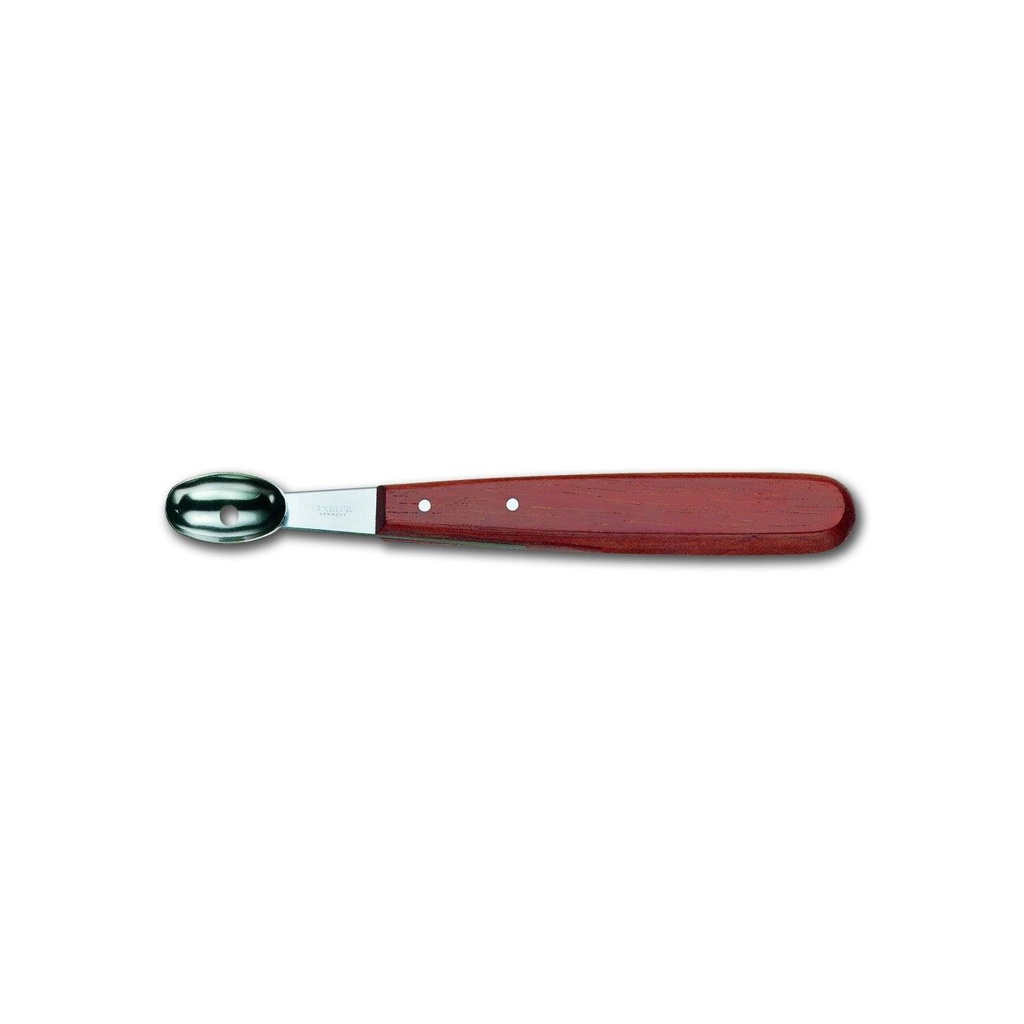 Kartoffelbohrer, oval
