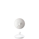 Hutschenreuther Maria Theresia Weiss Zuckerdose 6 Personen Deckel 10 cm