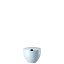 Rosenthal Junto Opal Green Zuckerdose mit Einschnitt 0,28 L