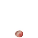 Rosenthal Bloom Scarlet Dipschale 9999 cm
