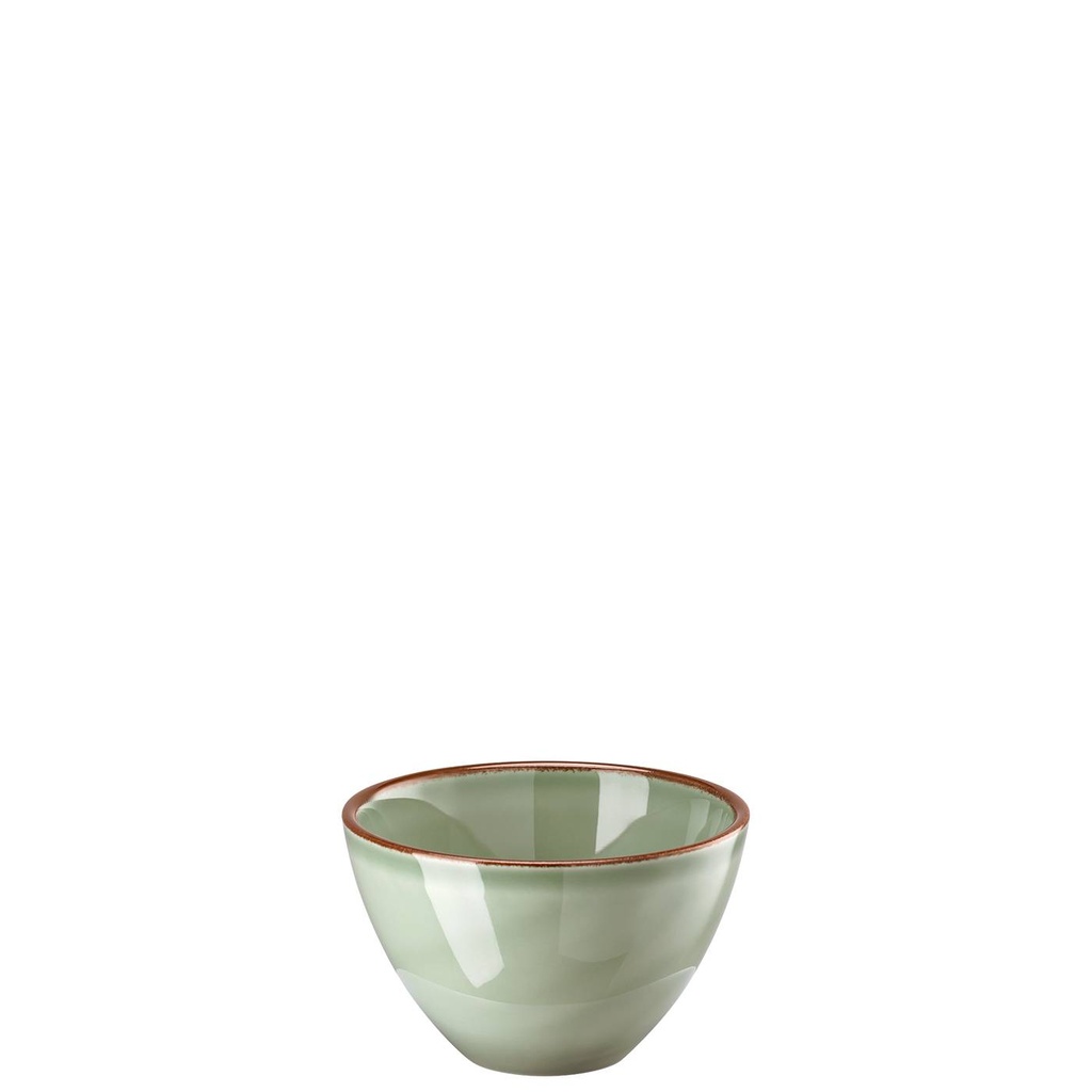 Rosenthal Profi Casual Moss Bowl 13 cm