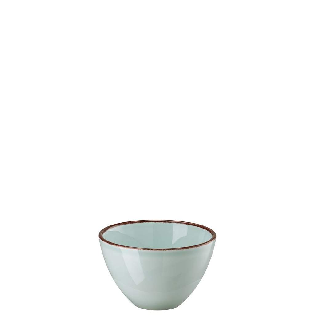 Rosenthal Profi Casual Mint Bowl 13 cm