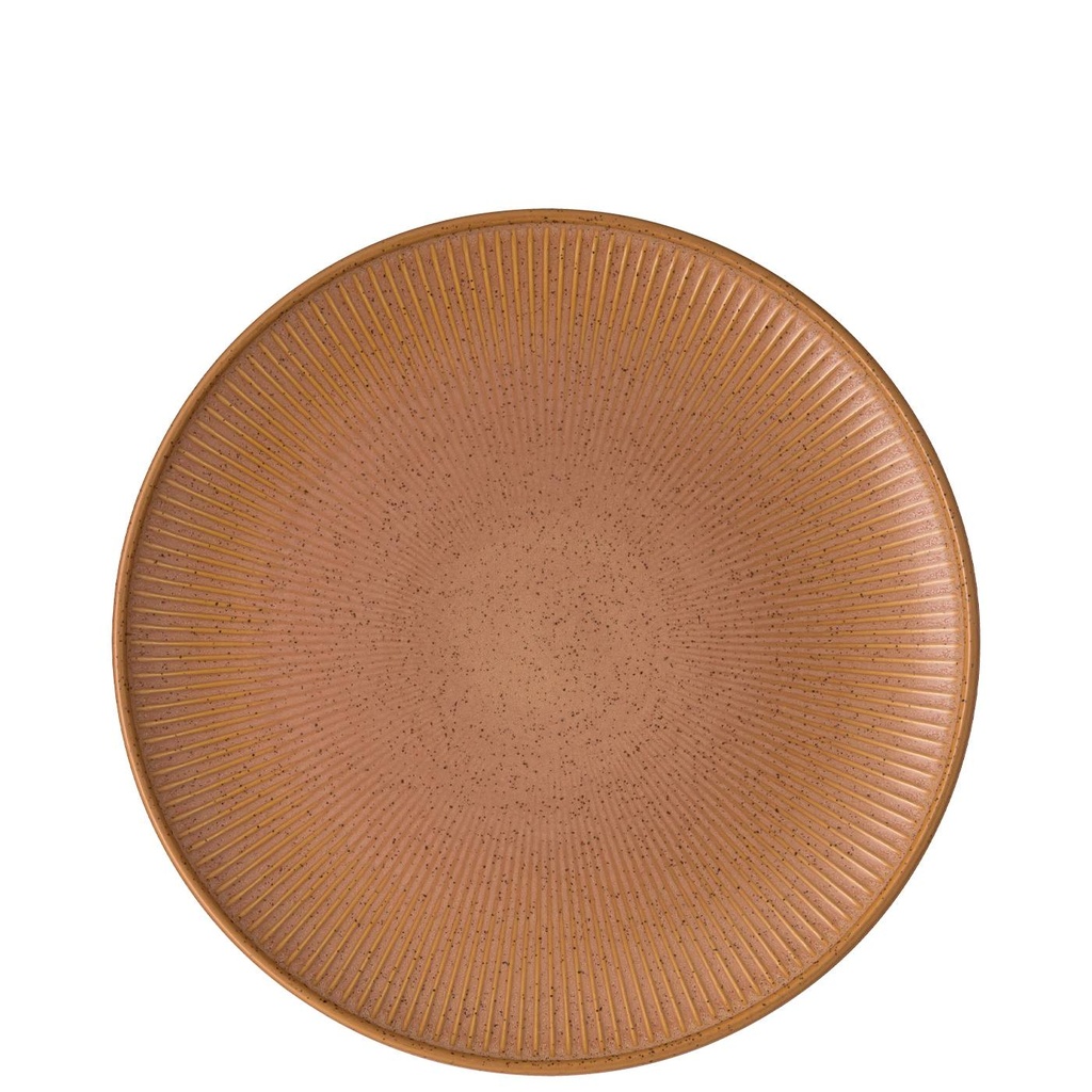 Thomas Clay Earth Speiseteller 27 cm