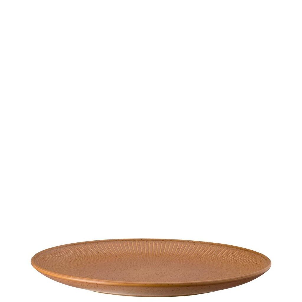 Thomas Clay Earth Speiseteller 27 cm