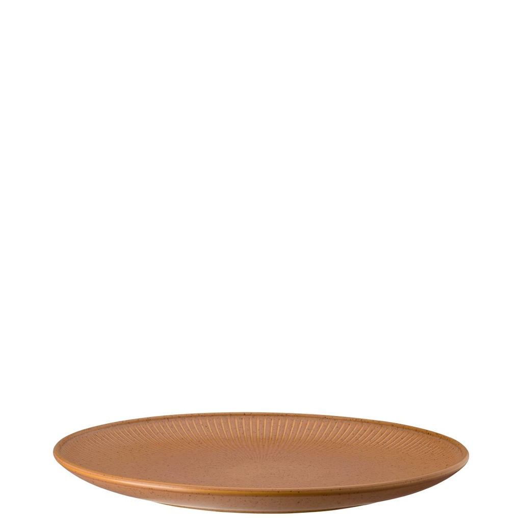 Thomas Clay Earth Speiseteller 27 cm