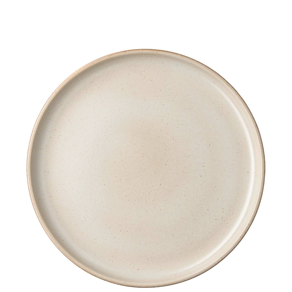Rosenthal Joyn Stoneware Ash Teller flach 28 cm