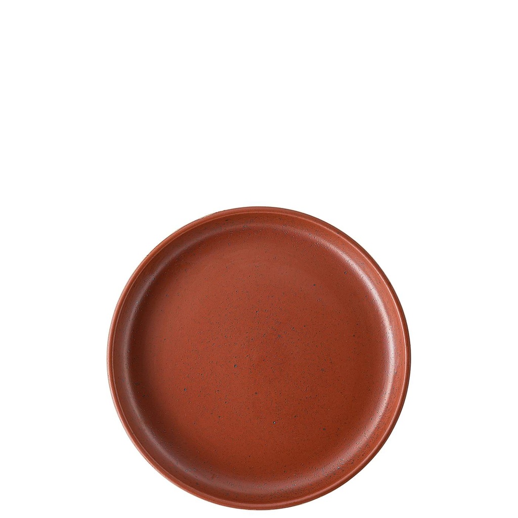 Rosenthal Joyn Stoneware Spark Gourmetteller 20 cm