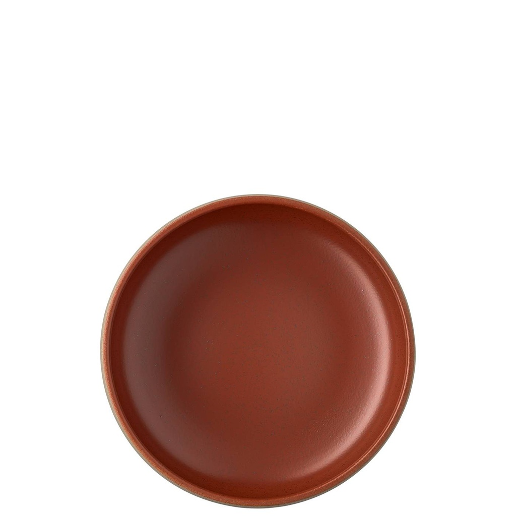 Rosenthal Joyn Stoneware Spark Multi-Bowl 21 cm 1,500 L