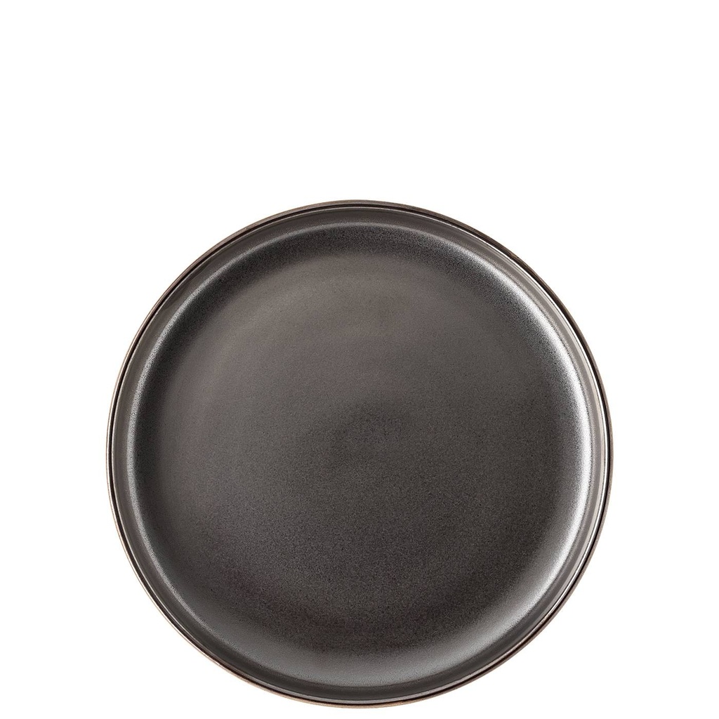 Rosenthal Joyn Stoneware Iron Gourmetteller 24 cm
