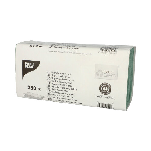 250 Blatt Handtuchpapier V-Falz 23 cm x 25 cm grün Zick Zack, 1-lagig