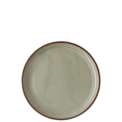 Rosenthal Profi Casual Moss Teller flach 22 cm