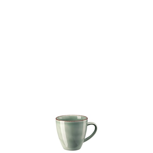 Rosenthal Profi Casual Moss Becher mit Henkel 0,35 L