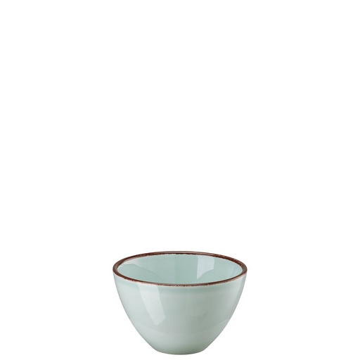 Rosenthal Profi Casual Mint Bowl 13 cm